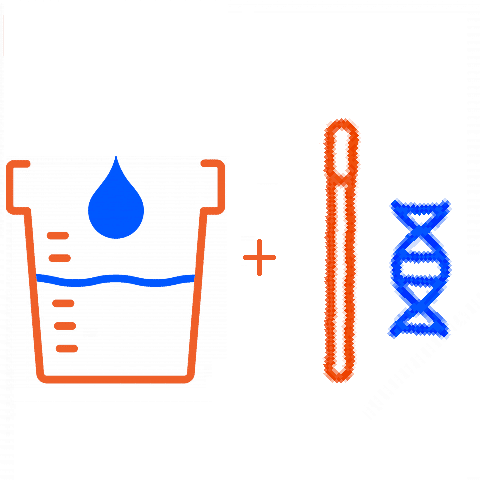 Chlamydia Gonorrhea Test Urine Oral Swab 2-Site