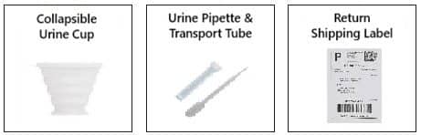 urine toxin testing supplies